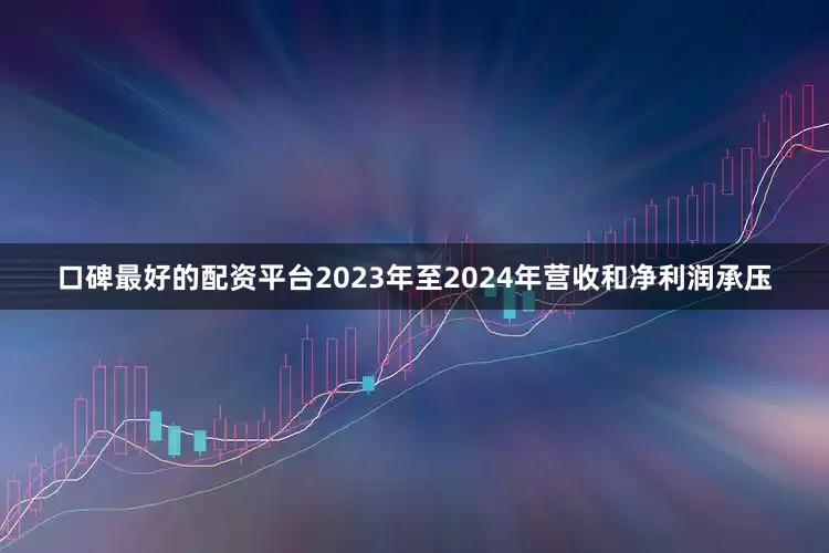 口碑最好的配资平台2023年至2024年营收和净利润承压
