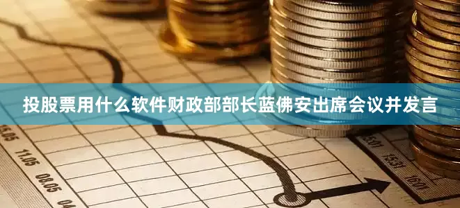 投股票用什么软件财政部部长蓝佛安出席会议并发言