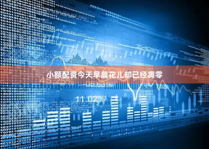 小额配资今天早晨花儿却已经凋零