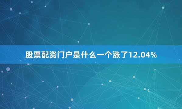 股票配资门户是什么一个涨了12.04%